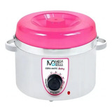 Aquecedor De Cera Termocera 200g Sem Refil Branca Com Rosa Bivolt