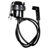 220v