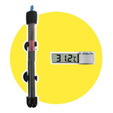 220v