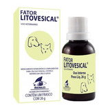 Terapia