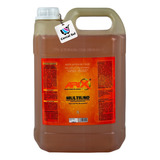 Arix Desengraxante Biodegradável Limpeza Pesada Multiuso 5l