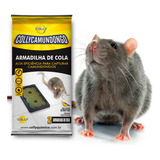 Armadilha Cola Pega Camundongo Aranha Rato Colly - 15 Pares