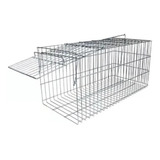 Armadilha Gigante Gatoeira Para Capturar Gatos Gambas Prata