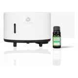 10ml