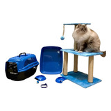 Arranhador De Gato Kit Completo 3 Bases Premium