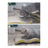 Catnip
