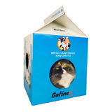 Arranhador Gato Casinha Caixa De Leite - Gatíneos Toys