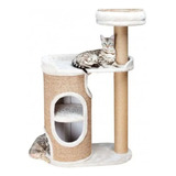 Torre