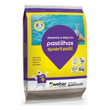 Assenta E Rejunta Pastilhas Piscinas Quartzolit 5kg - Cores