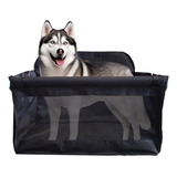 Husky