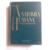 Atlas De Anatomia Humana - Três