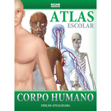 Anatomia