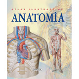 Atlas Ilustrado De Anatomia, De Rigutti,