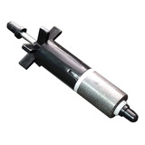 Bivolt