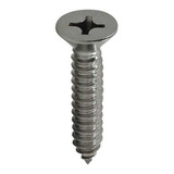 Auto Atarraxante Phillips 4.8x38 Inox 304/a2