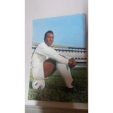 Autografo Do Pelé (cartão Postal Autografado Pelé)