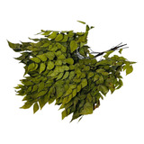 Naturais