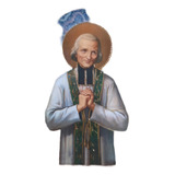 Vianei