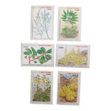 B3728 Cabo Verde - Flora Yvert Nº 758/63 Nnn Completa