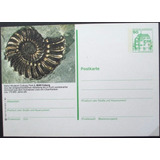 B9551 Alemanha - Cartão Postal Fossil Amonite Arqueologia