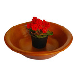 Bacia Para Suculentas De Barro Terrario Jardim De Fadas Flor