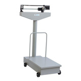 Balança Industrial Analógica Welmy 104 Ch 300kg Com Mastro