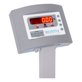 Balança Industrial Digital 300kg 40x50 Com Coluna W300 Welmy