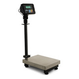 Balança Toledo 2099 300 Kg Bateria Selo Inmetro + Serial Cor Prateado Peso Máximo Suportado 300 Kg Voltagem 110v/220v