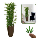 Bambu Bambuzinhos Artificial + Vaso Decorativo