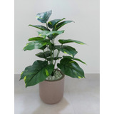 Bambu Mossô Artificial Tronco Natural C/ Vaso Decoração Home