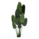 Decoração