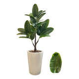 Decoração