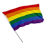 Bandeira Arco Íris Lgbt Parada Alta