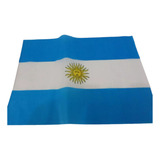 Bandeira Argentina 30x19cm Festas Decoração Jogos Fantasia