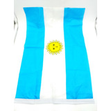 Bandeira Argentina 45x30cm Festas Decoração Jogos Fantasia