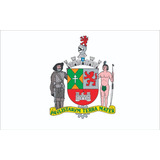 Bandeira Cidade São Bernardo Do Campo 1x1,45m
