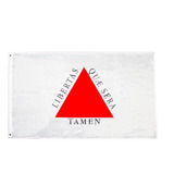 Bandeira Minas Gerais Oficial 90 Cm 150 Cm Anilhas Envio Hj