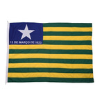 Bandeira Oficial Do Estado Do