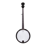 Banjo Americano Acústico Strinberg Wb50 5 Cordas