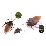 Inclusa