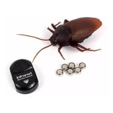 Barata Gigante Robô Controle Remoto Sem Fio Brinquedo