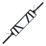 Musculação