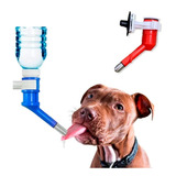 Bebedouro Automático Para Cães Bico Bilha Garrafa Pet