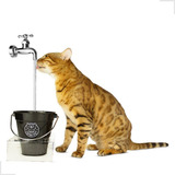 Bebedouro Fonte Gatos Torneira Magicat C/ Suporte 110v 220v 