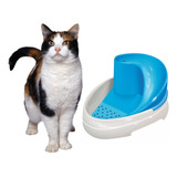 Bebedouro Gato Bebedouro Para Gatos E Cães Fonte Água Bivolt Cor Rosa