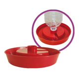 Bebedouro P/ Frango Galinha Granja Base Garrafa Pet Kit 5un 