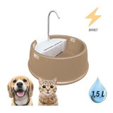 Bebedouro Para Gatos Fonte Com Água Corrente Bivolt 