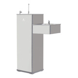 Inox220v