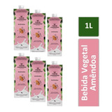 Bebida Vegetal 1l Amêndoa A Tal Da Castanha Kit C/6
