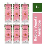 Bebida Vegetal Amêndoa A Tal Da Castanha Leite Kit C/6